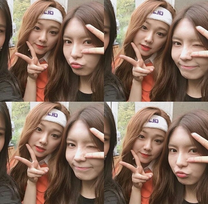 오늘자 제주도에서 강미나 김나영 | 인스티즈