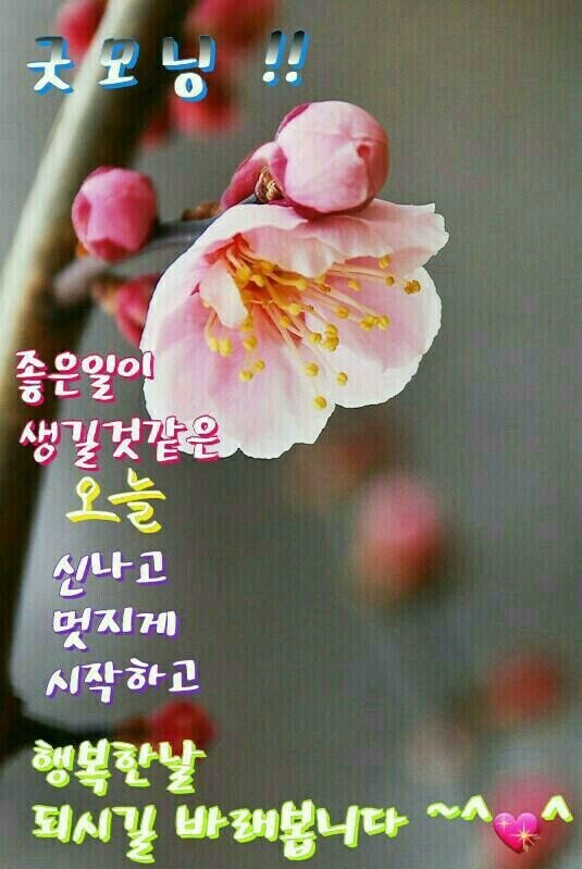 멋진하루 이미지