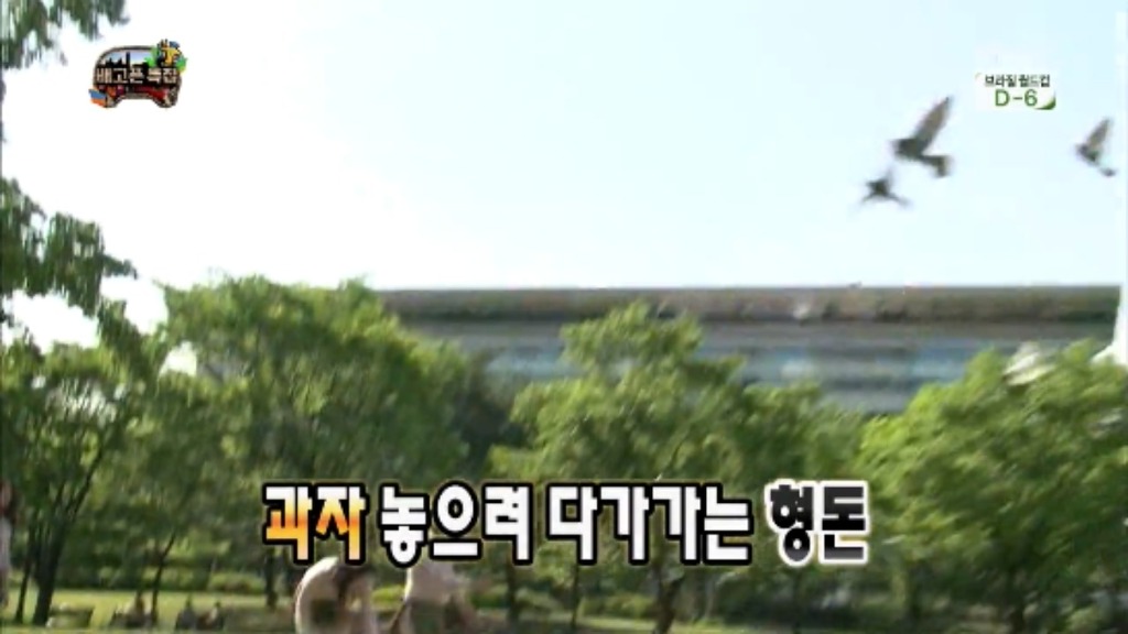 [무한도전] 무한족 서울 도심에서 비둘기 잡기 jpg | 인스티즈