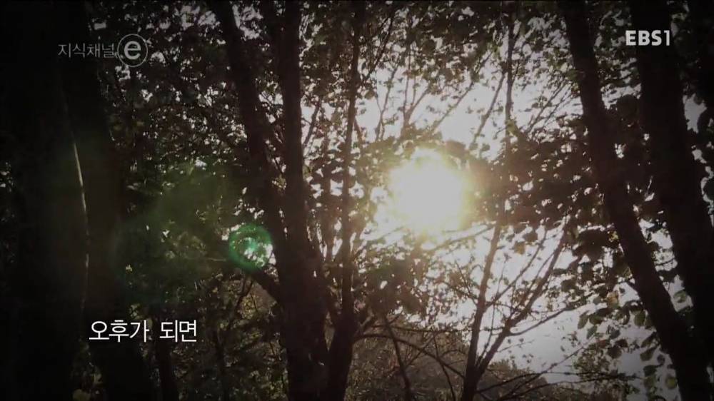 시간강사의 현실 | 인스티즈
