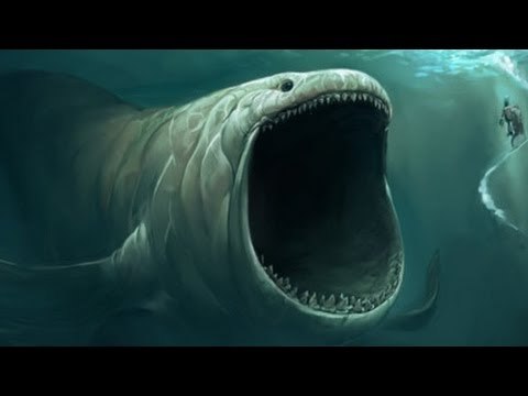 심장이 자동차만한 지구에서 가장 거대한 동물 | 인스티즈
