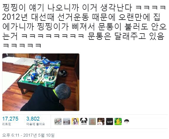 냥집사들 🐱 (사진 엄청많음 주의) | 인스티즈