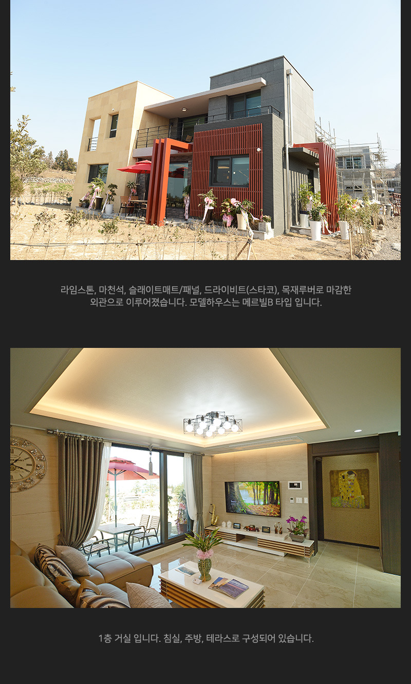 해안초 이미지