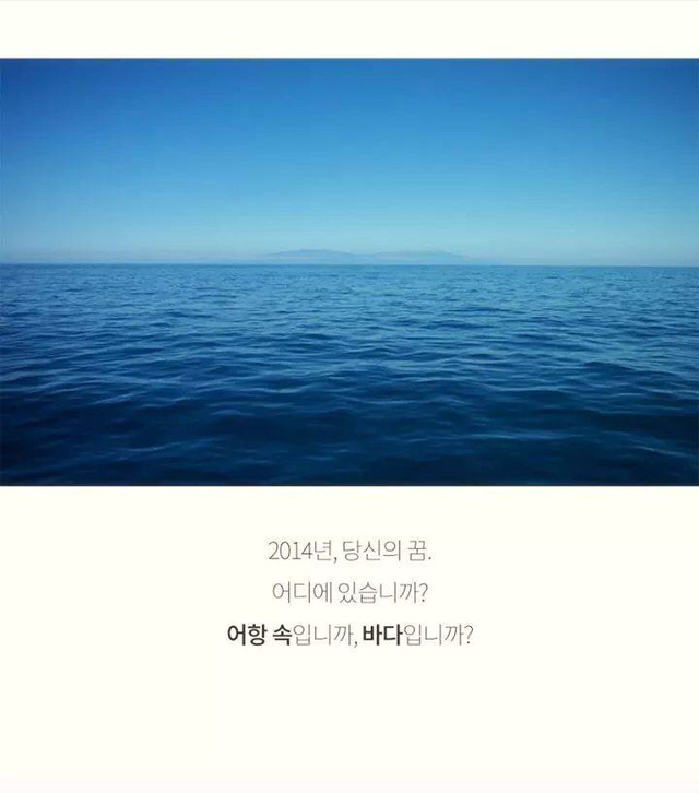 코이의 법칙 | 인스티즈