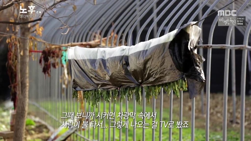 [MBC스페셜] 평생 자식들 뒷바라지 하느라 자신의 노후는 준비하지 못한 여성의 사연.jpg | 인스티즈