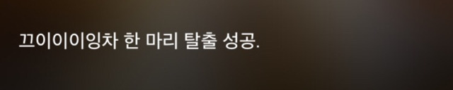 특이한 곳에 털이 자라는 까칠한 매력의 고양이 | 인스티즈