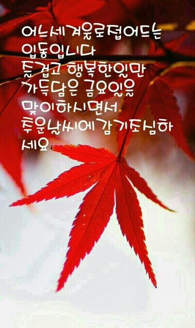 건강한하루 이미지