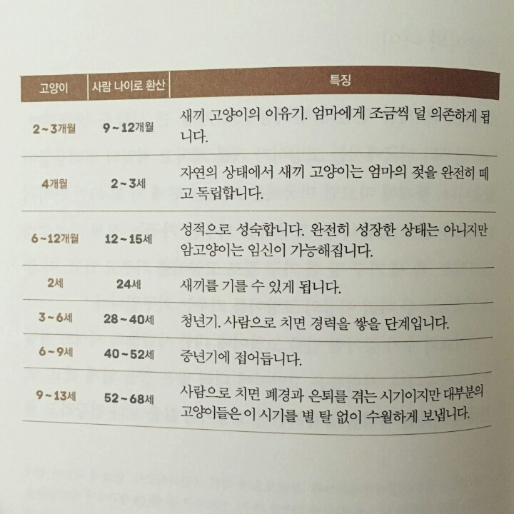 나이든 고양이와 살아가기(feat.나이별특징) | 인스티즈