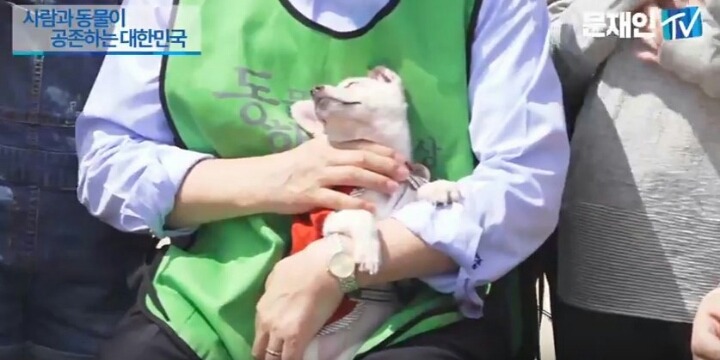 오늘자 문재인과 처음 만난 반려견들.jpg | 인스티즈