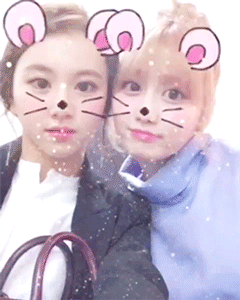 [트와이스] 불금에 올라온 채영이 모모 인스타 움짤 | 인스티즈
