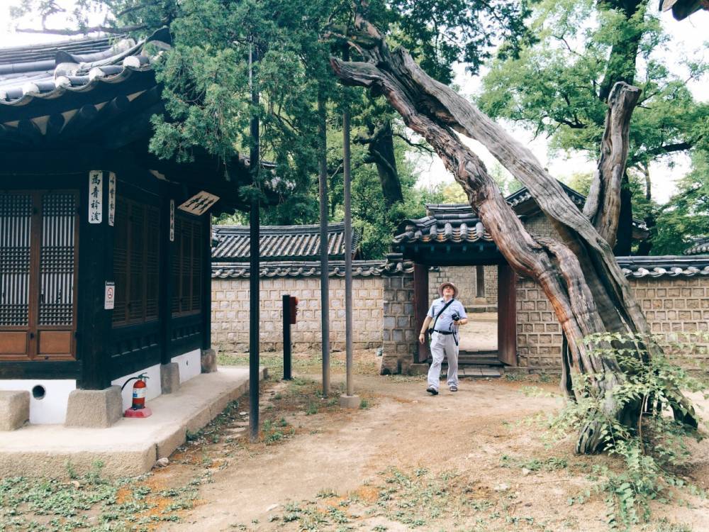 외국인이 촬영한 한국 풍경.jpg | 인스티즈