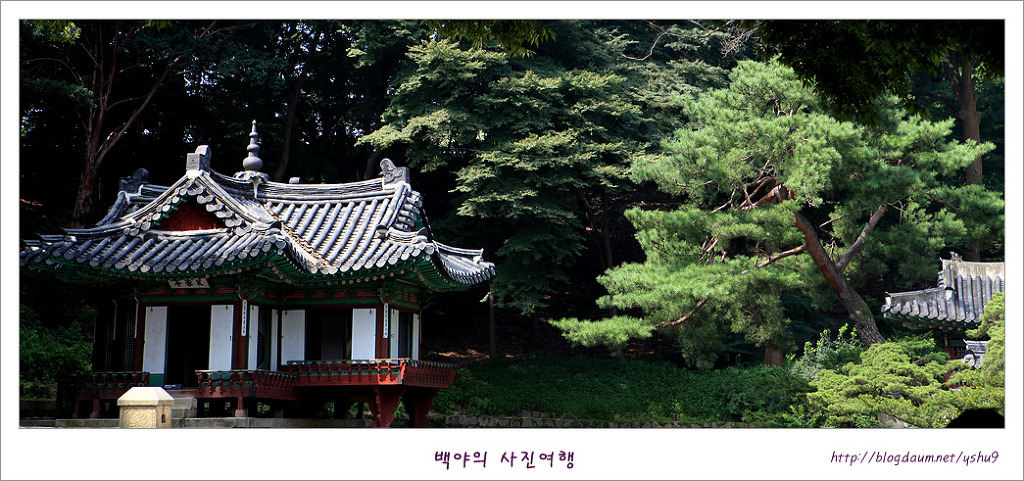 비원 이미지