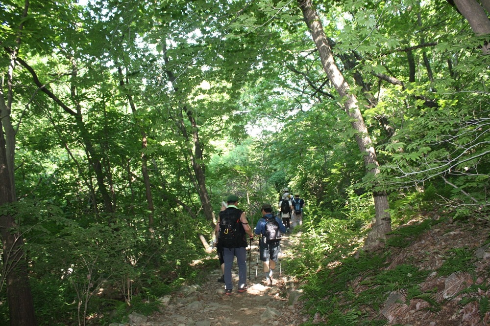 주(酒)량 이미지
