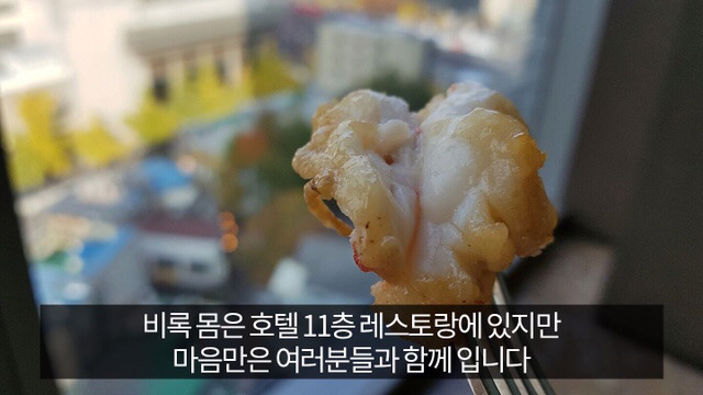 유머저장소 광화문 갔다온글 | 인스티즈