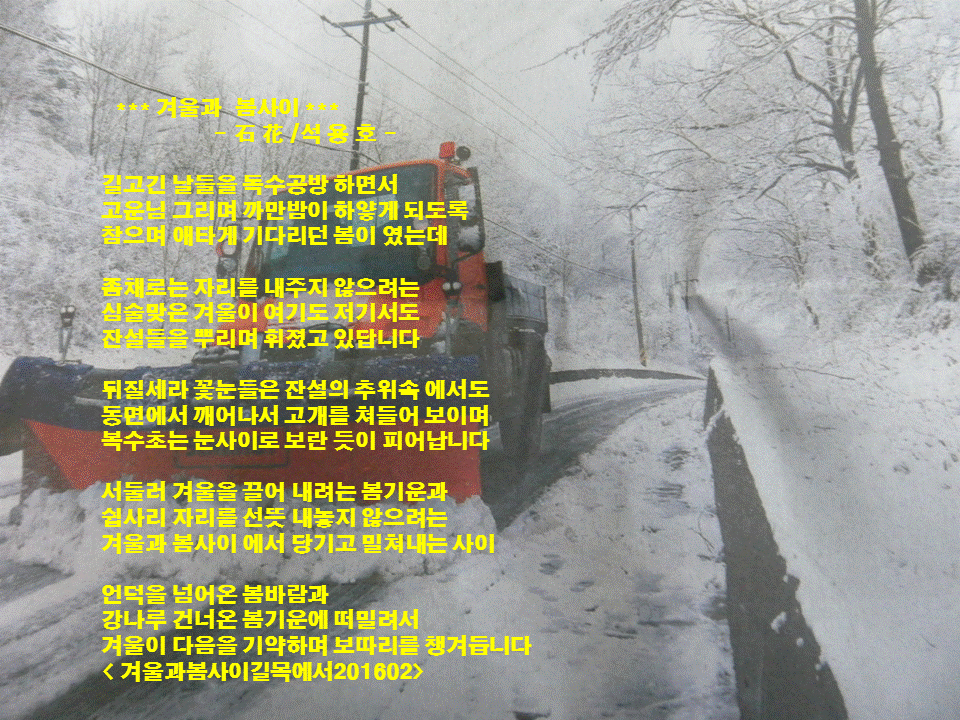 겨울과봄사이 이미지