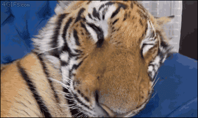 [움짤] 뭔 냄새여? .GIF | 인스티즈
