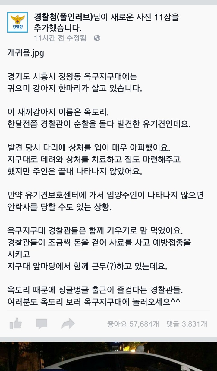 시흥시 옥구지구대 강아지 옥도리.jpg | 인스티즈