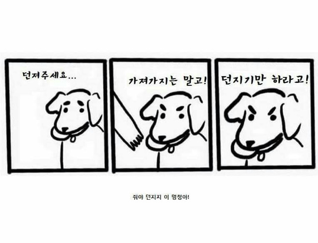 강아지 논리.jpg | 인스티즈
