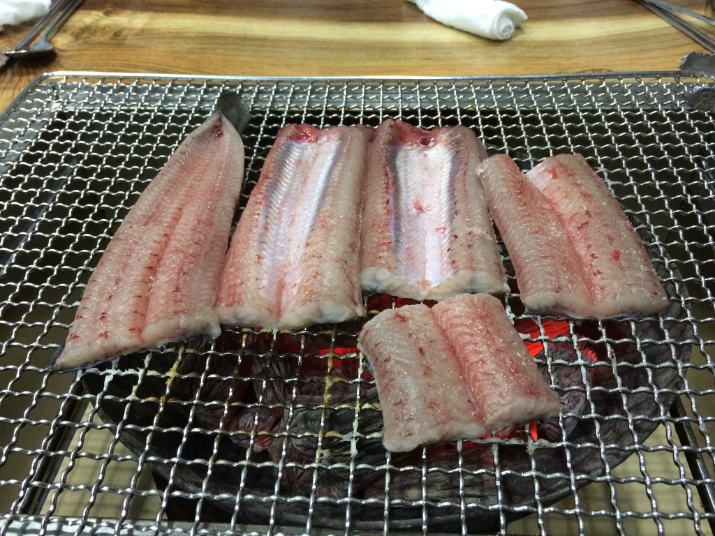 싱싱장어 이미지