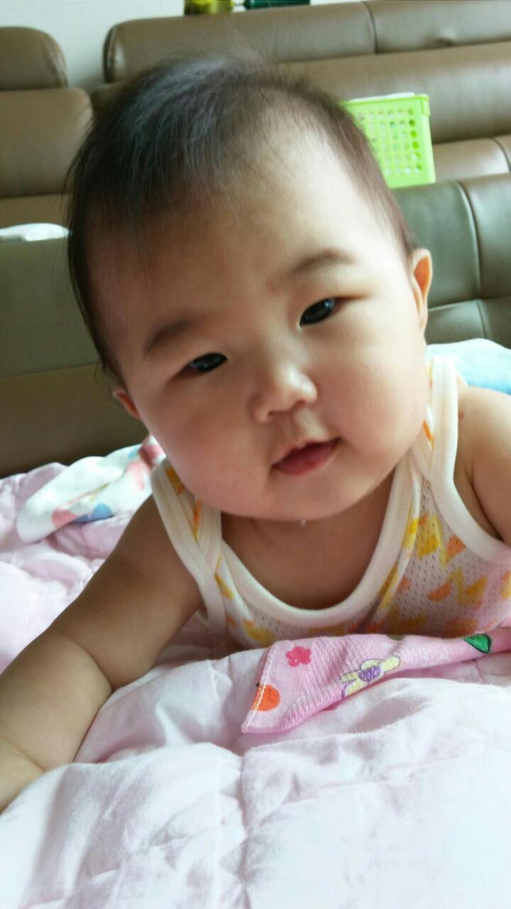 포포모모 이미지