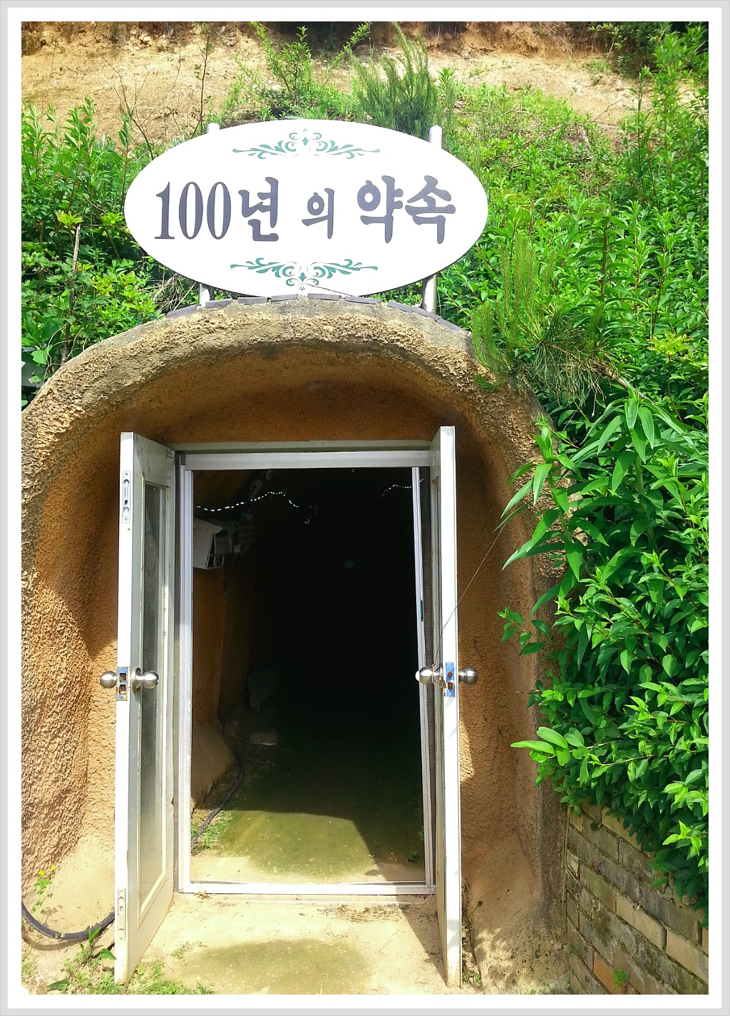 골망태 이미지