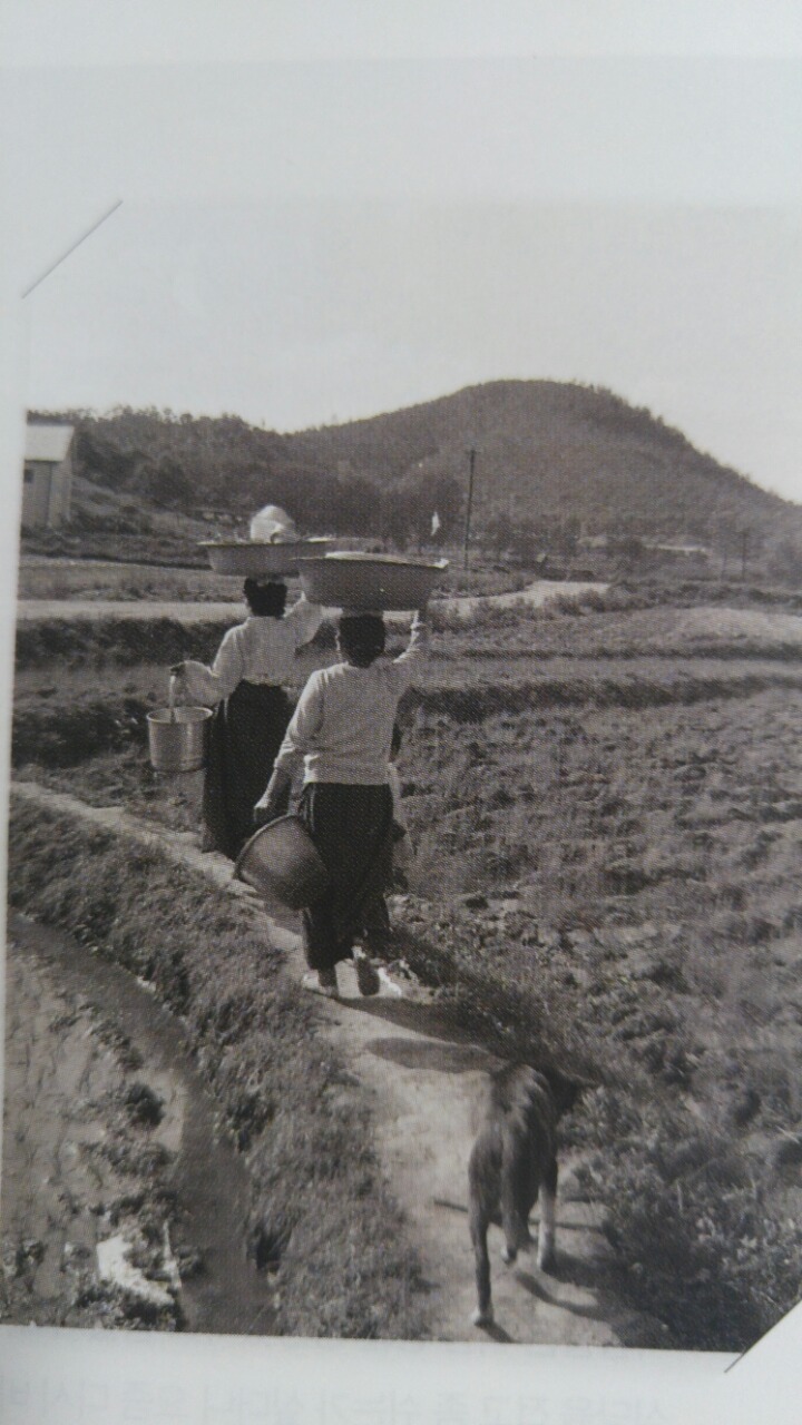 새참 이미지
