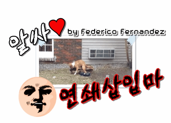 묘한 느낌의 영화 한장면 모음 5탄.gif | 인스티즈