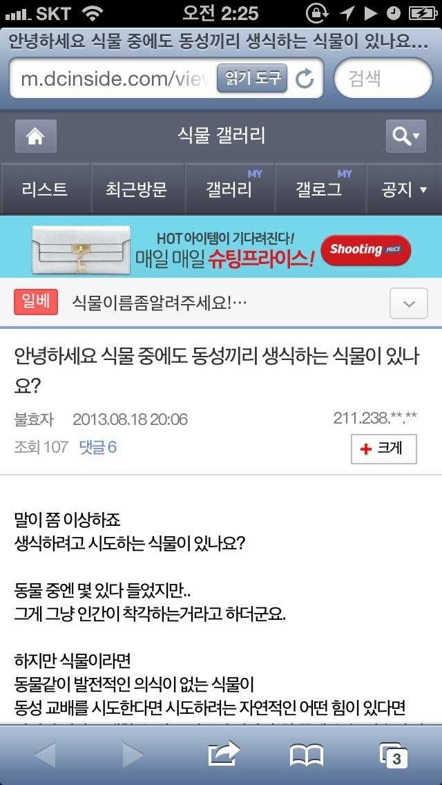 힘들어하는 한 동성애자에게 식물갤러가 답변 단거.jpg | 인스티즈