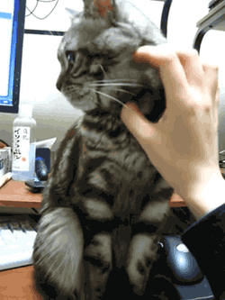 그만해! .GIF | 인스티즈