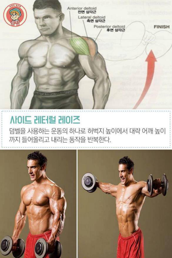 어깨 넓어지는 법 | 인스티즈