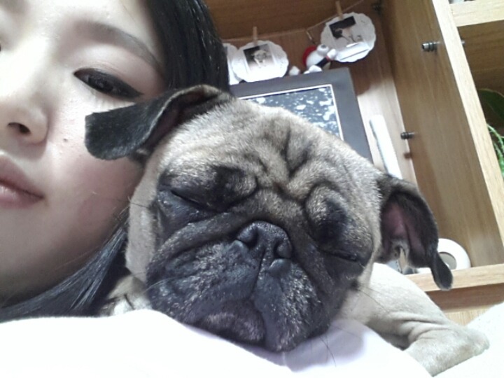 니아 이미지
