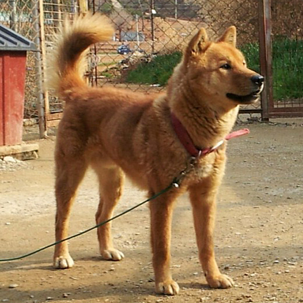 바우 이미지