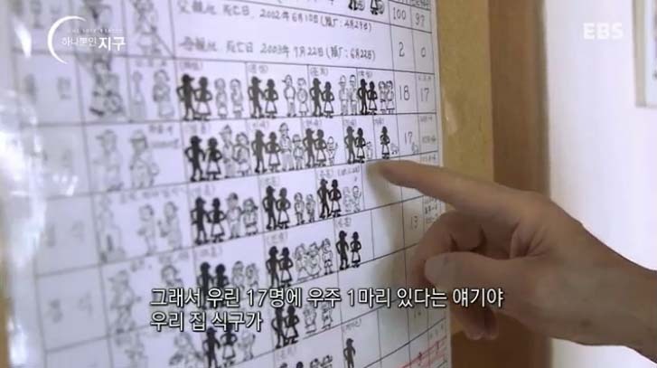  당신은 반려동물과 이별할 준비가 되었나요? | 인스티즈