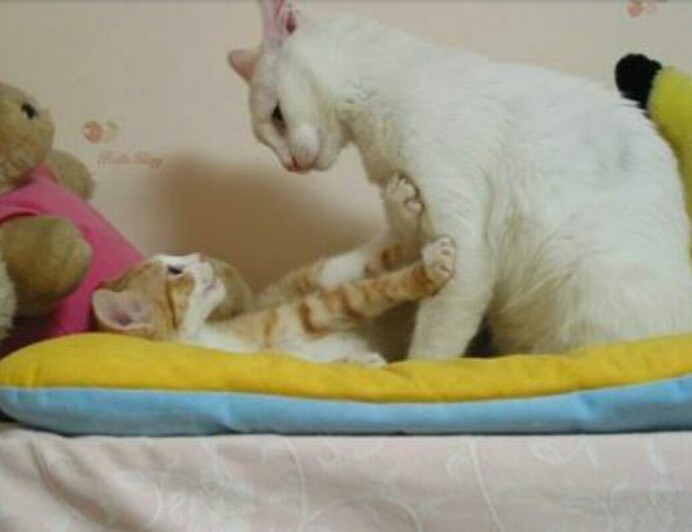 오빠 나 이러려고 만나? .jpg | 인스티즈