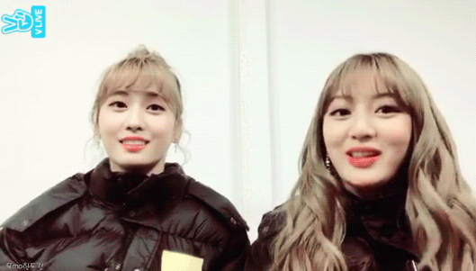 오늘자 트와이스 V앱 움짤모음 | 인스티즈