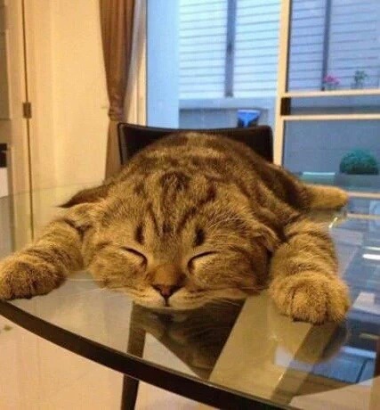 이가장 이미지