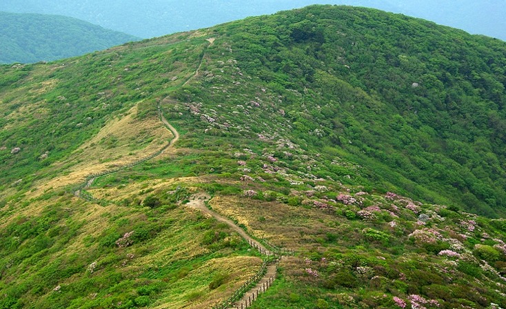 모리아허브 이미지