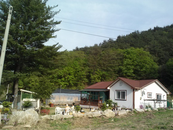 직매 이미지