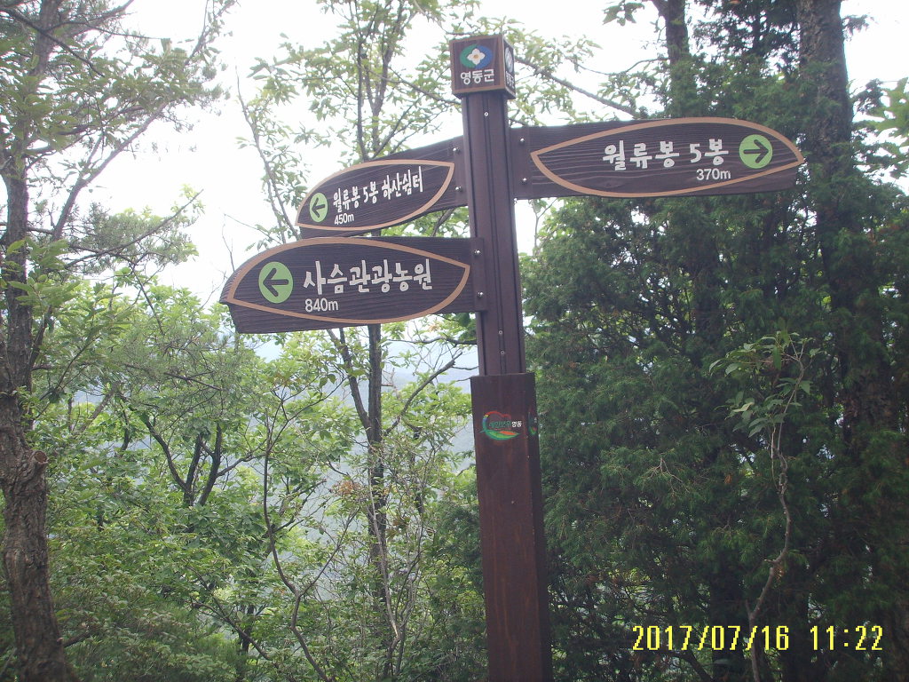 월류봉농원 이미지