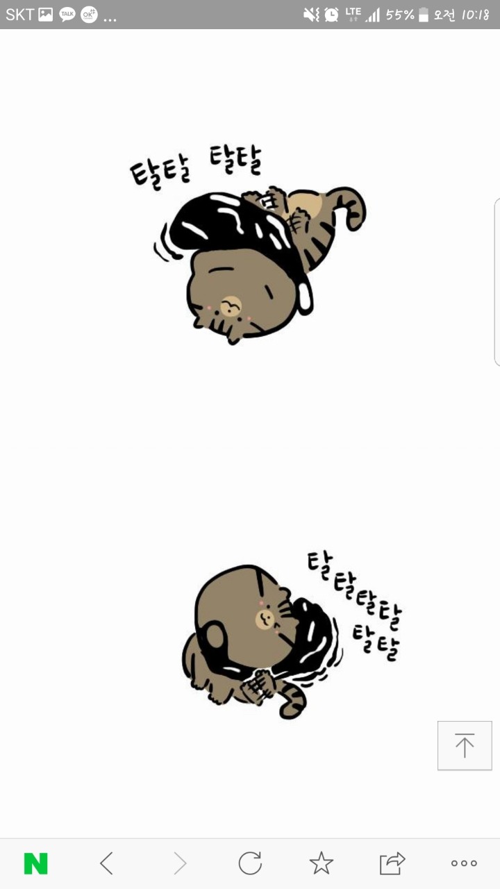 고양이가 자주하는 행동(feat.비닐) | 인스티즈