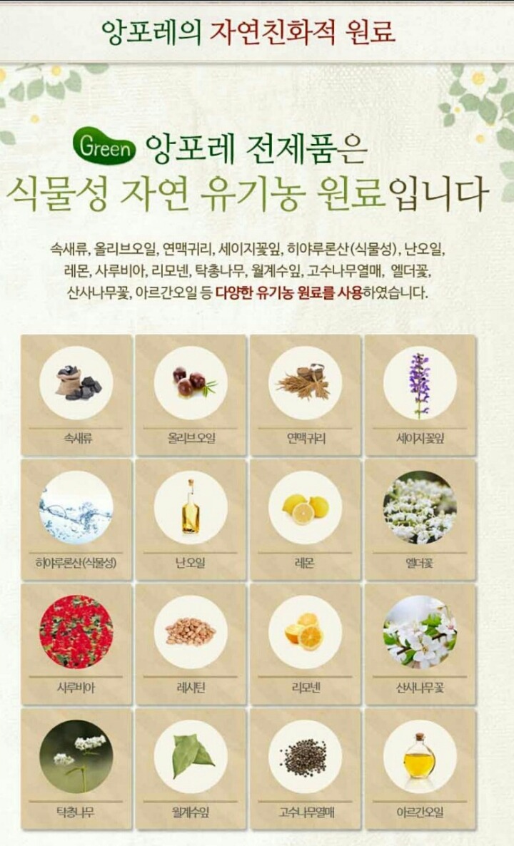 앙포레 이미지