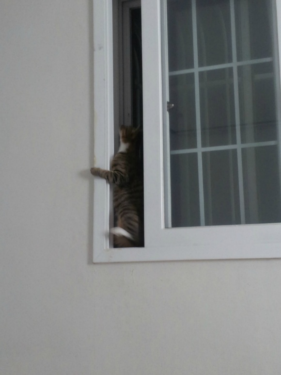 모두드림 이미지