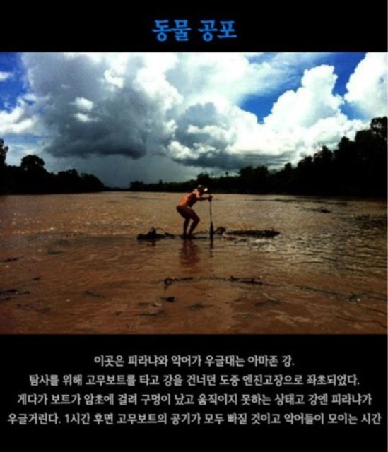 당신에게 있어 가장 끔찍한 공포의 순간은? | 인스티즈