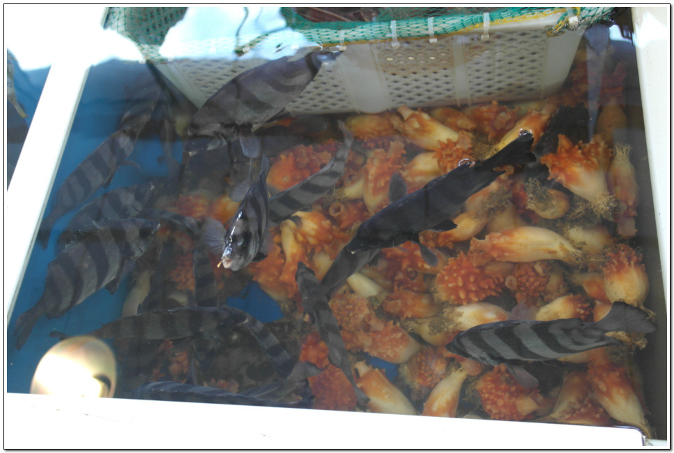 청해수산2 이미지
