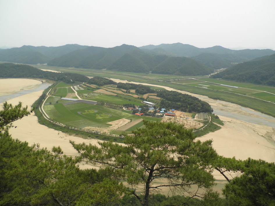 예천농협주유소 이미지