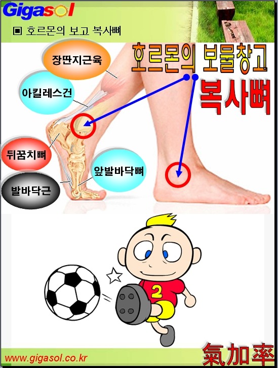 보물창고 이미지