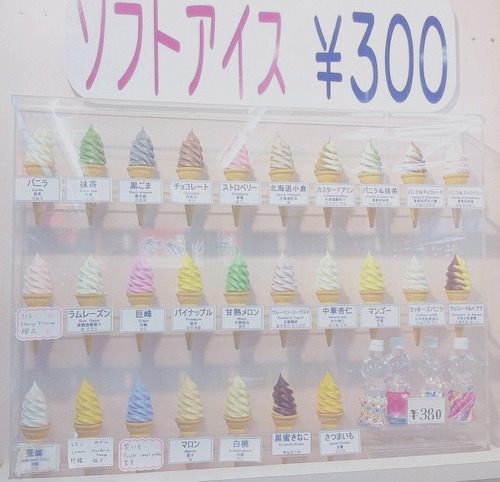  따뜻한 분위기의 일본의 봄 vs 시원하고 청량감있는 일본의 여름 | 인스티즈