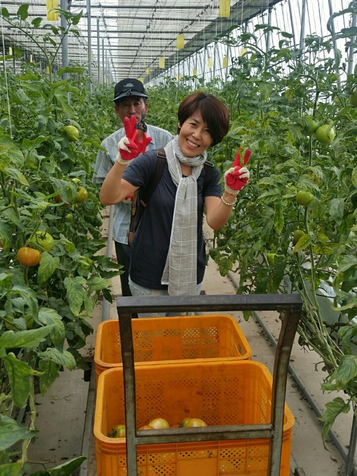 거북선마을 이미지