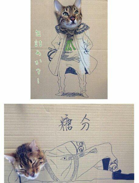 그림 좀 그리는 주인님의 솜씨 | 인스티즈