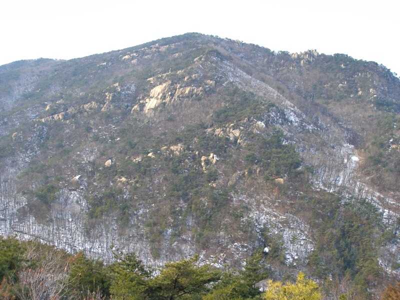 모자로와 이미지